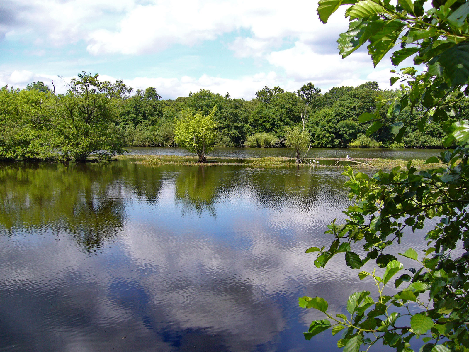 Earlswood